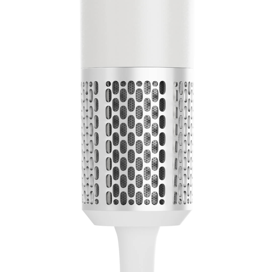 C02 Ionic Hair Dryer